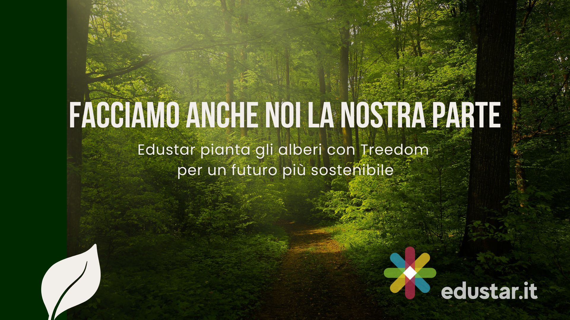 Immagine articolo Edustar sostiene l’ambiente: piantati nuovi alberi con Treedom